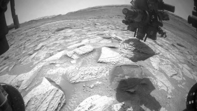 A 29-pound Mars rock held NASA’s Curiosity rover hostage for 6 days A 29-pound Mars rock held NASA’s Curiosity rover hostage for 6 days