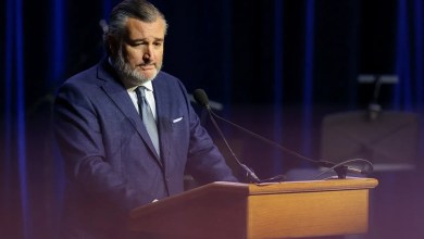 Cruz optimistic that air safety bill will pass the House Cruz optimistic that air safety bill will pass the House