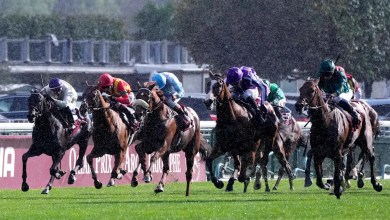Daryz’s thrilling comeback secures victory at the Prix de l’Arc de Triomphe Daryz’s thrilling comeback secures victory at the Prix de l’Arc de Triomphe