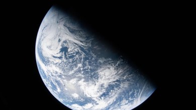 Artemis II astronauts are more than halfway to the moon as they seek to break Apollo 13’s record Artemis II astronauts are more than halfway to the moon as they seek to break Apollo 13’s record