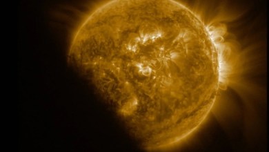 Sun storms are powered by a magnetic engine 16 Earths deep, study finds Sun storms are powered by a magnetic engine 16 Earths deep, study finds