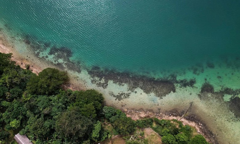 Sea levels higher than thought due to “methodological blind spot,” study says Sea levels higher than thought due to “methodological blind spot,” study says