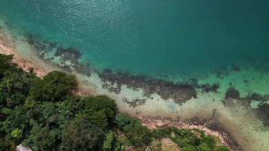 Sea levels higher than thought due to “methodological blind spot,” study says Sea levels higher than thought due to “methodological blind spot,” study says