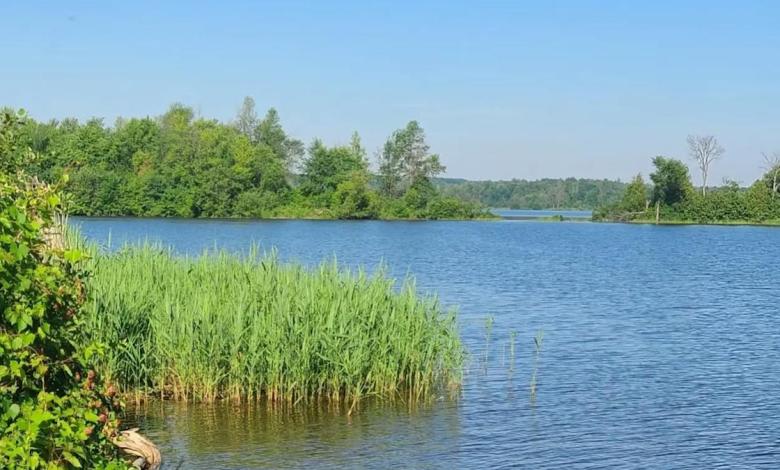 Tucked Between Montreal And Ottawa Is Canada’s Scenic Riverside Park With Beaches, Camping, And Trails Tucked Between Montreal And Ottawa Is Canada’s Scenic Riverside Park With Beaches, Camping, And Trails