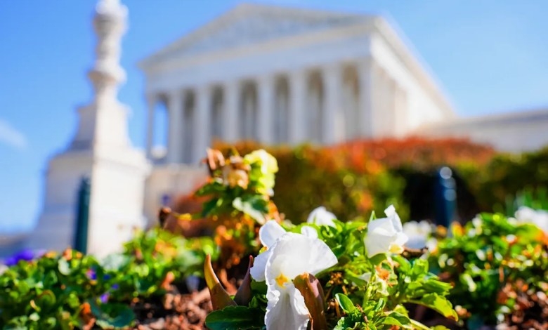 Is spring really — finally — here? Is spring really — finally — here?