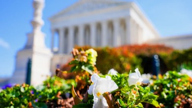 Is spring really — finally — here? Is spring really — finally — here?