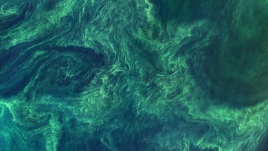 Our Changing Planet, as Seen From Space Our Changing Planet, as Seen From Space