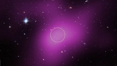 Astronomers discover never-before-seen celestial object: “Cloud 9” Astronomers discover never-before-seen celestial object: “Cloud 9”