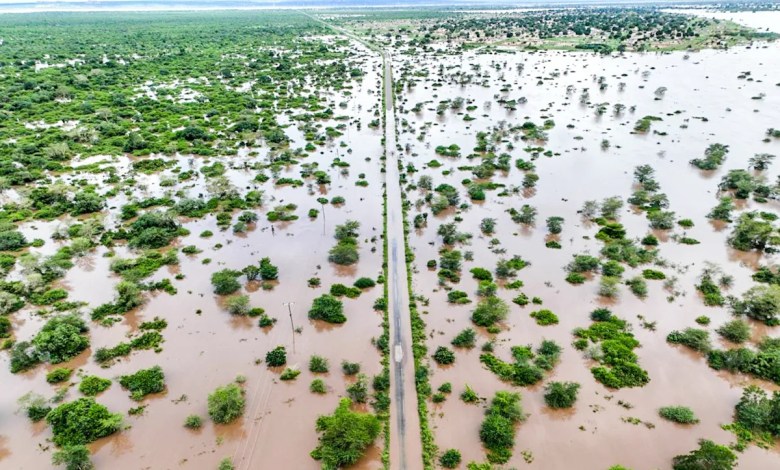 Climate change worsened rains and floods which killed dozens in southern Africa, study shows Climate change worsened rains and floods which killed dozens in southern Africa, study shows