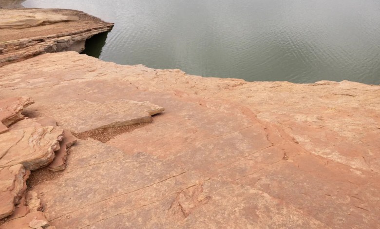 A dinosaur road trip through the American West A dinosaur road trip through the American West