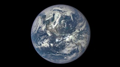 A rare chemical fluke may have made our planet habitable A rare chemical fluke may have made our planet habitable