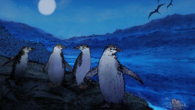 Nodding off is dangerous. Some animals have evolved extreme ways to sleep in precarious environments Nodding off is dangerous. Some animals have evolved extreme ways to sleep in precarious environments