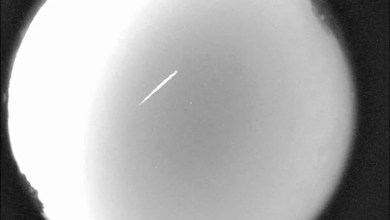 A bright moon may dim the Eta Aquarid meteor shower made up of Halley’s comet debris A bright moon may dim the Eta Aquarid meteor shower made up of Halley’s comet debris