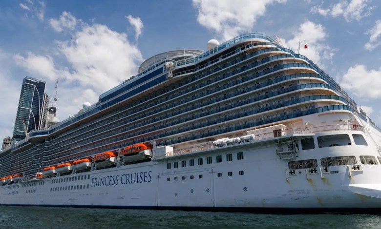 Princess cruise ship recovers 5 ‘deceased individuals’ from sea Princess cruise ship recovers 5 ‘deceased individuals’ from sea