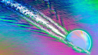 Large Hadron Collider reveals ‘primordial soup’ of the early universe was surprisingly soupy Large Hadron Collider reveals ‘primordial soup’ of the early universe was surprisingly soupy