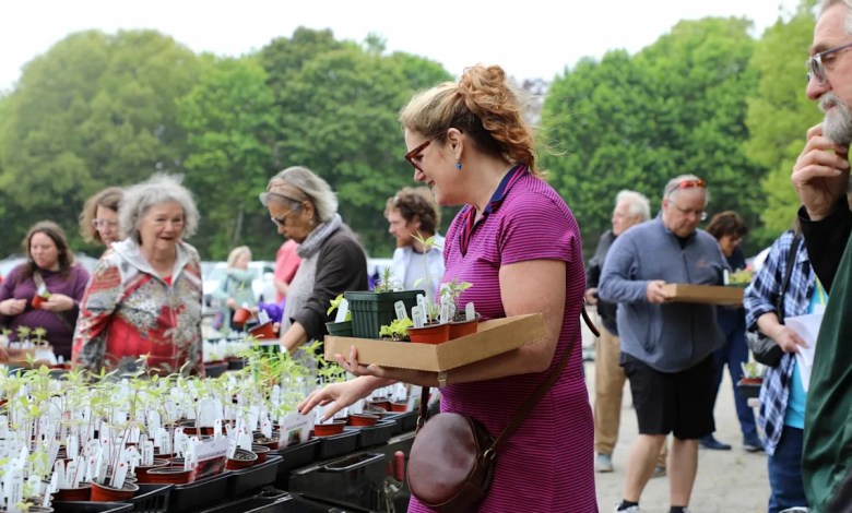 Plimoth Patuxet Museums’ heirloom plant sale returns. What to know Plimoth Patuxet Museums’ heirloom plant sale returns. What to know