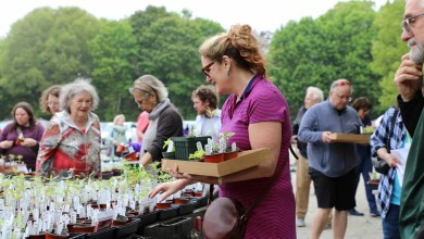 Plimoth Patuxet Museums’ heirloom plant sale returns. What to know Plimoth Patuxet Museums’ heirloom plant sale returns. What to know