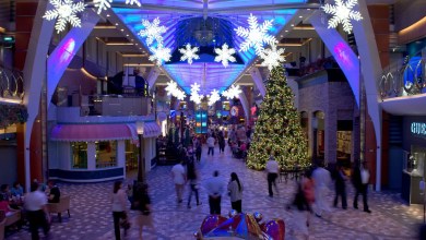 Why families cruise for Christmas Why families cruise for Christmas