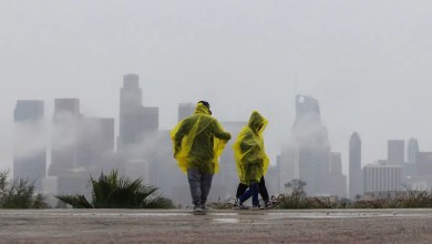 California is completely free of drought for the first time in 25 years California is completely free of drought for the first time in 25 years
