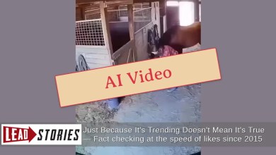 FAKE Video Of Horse Protecting Owner After Earthquake In Japan Is AI-Generated FAKE Video Of Horse Protecting Owner After Earthquake In Japan Is AI-Generated