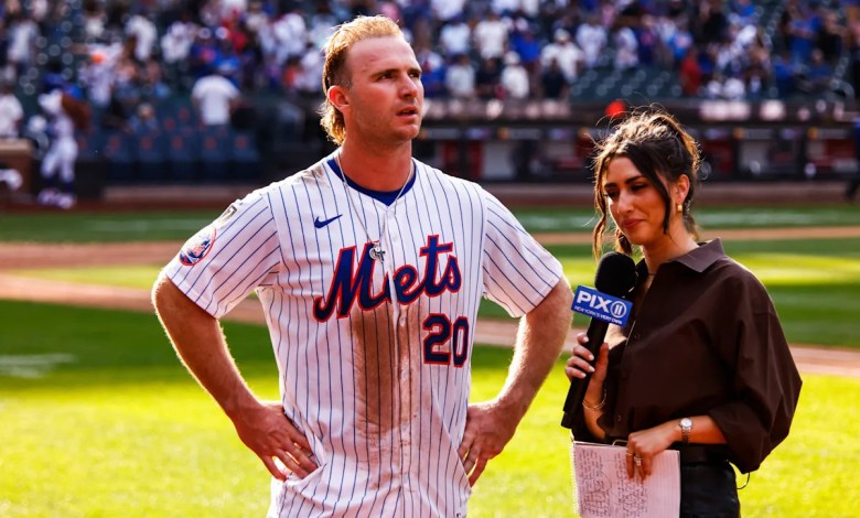 Alonso’s record-setting walk-off homer snaps Mets’ skid, sparks wild celebration Alonso’s record-setting walk-off homer snaps Mets’ skid, sparks wild celebration