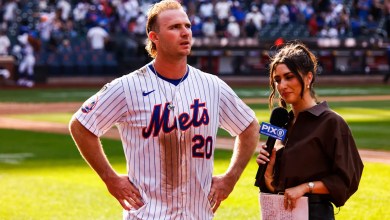 Alonso’s record-setting walk-off homer snaps Mets’ skid, sparks wild celebration Alonso’s record-setting walk-off homer snaps Mets’ skid, sparks wild celebration