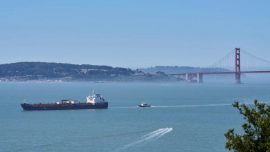 A new whale detection network launches in San Francisco Bay, alerting ships in real time A new whale detection network launches in San Francisco Bay, alerting ships in real time