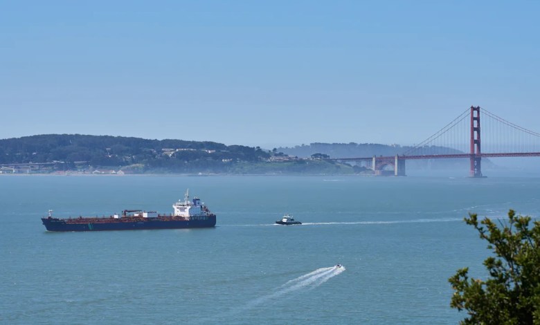 A new whale detection network launches in San Francisco Bay, alerting ships in real time A new whale detection network launches in San Francisco Bay, alerting ships in real time