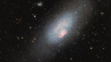 Big Bear glows with big stars Big Bear glows with big stars