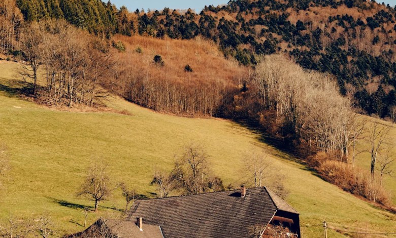 A New Side of the Black Forest—From Designer Cuckoo Clocks to Revitalized Bathhouses A New Side of the Black Forest—From Designer Cuckoo Clocks to Revitalized Bathhouses