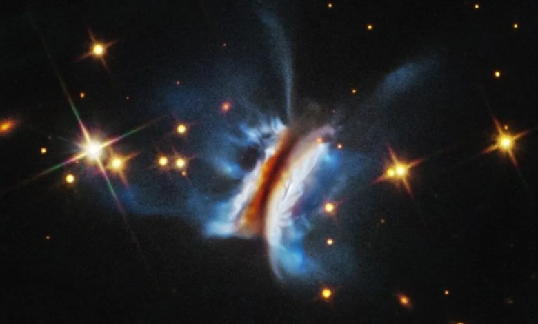 ‘Dracula’s Chivito’ looks stunning in this tasty Christmas photo from the Hubble Telescope ‘Dracula’s Chivito’ looks stunning in this tasty Christmas photo from the Hubble Telescope