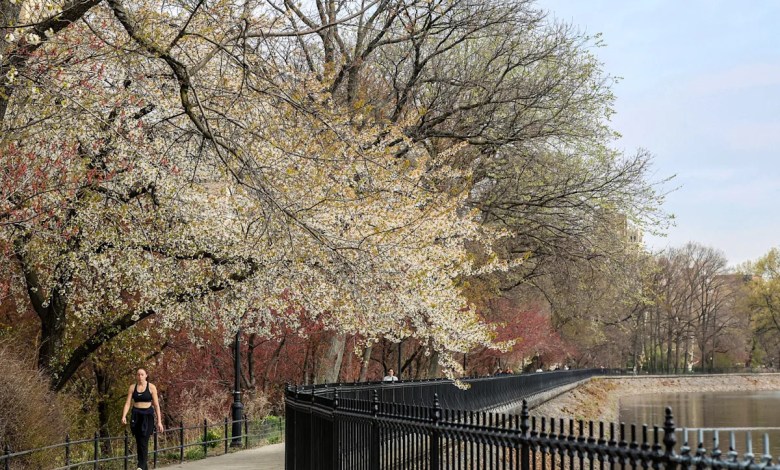 Another early heat wave hits this week, this time in the Northeast Another early heat wave hits this week, this time in the Northeast