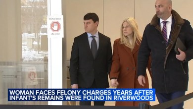 Woman pleads not guilty to felony charges 5 years after infant’s remains found in north suburbs Woman pleads not guilty to felony charges 5 years after infant’s remains found in north suburbs