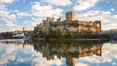 Ancient cave, hippo bones found under castle: “Once-in-a-lifetime discovery” Ancient cave, hippo bones found under castle: “Once-in-a-lifetime discovery”