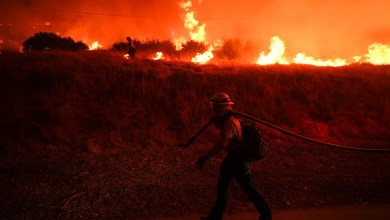 Study finds that dangerous days when weather is prone to fire soaring around the world Study finds that dangerous days when weather is prone to fire soaring around the world