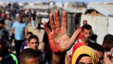 Gaza aid distribution declared ‘orchestrated killing’ by MSF Gaza aid distribution declared ‘orchestrated killing’ by MSF