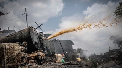 Authorities Seize Over 1,800 Bottles of Counterfeit Alcohol in Raid Authorities Seize Over 1,800 Bottles of Counterfeit Alcohol in Raid