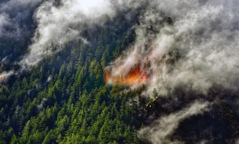Wildfire smoke lofted miles high could have an unexpected effect on Earth’s climate Wildfire smoke lofted miles high could have an unexpected effect on Earth’s climate