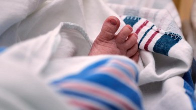 US births dropped last year, suggesting the 2024 uptick was short-lived US births dropped last year, suggesting the 2024 uptick was short-lived