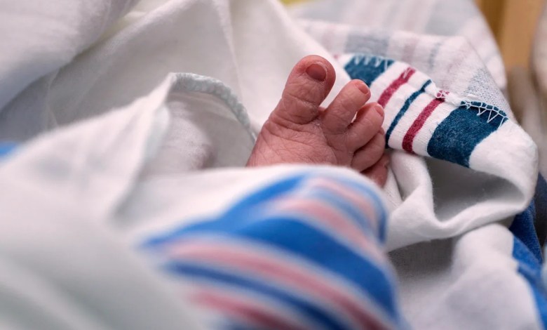 US births dropped last year, suggesting the 2024 uptick was short-lived US births dropped last year, suggesting the 2024 uptick was short-lived