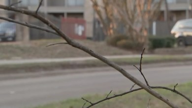 Prairie View officer arrested, accused of sexually harassing woman during traffic stop: Records Prairie View officer arrested, accused of sexually harassing woman during traffic stop: Records