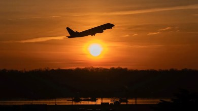 American Airlines and Google say AI helped airplanes reduce contrails that trap heat American Airlines and Google say AI helped airplanes reduce contrails that trap heat