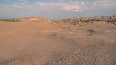 ‘Sandy and mostly devoid of life’ ‘Sandy and mostly devoid of life’