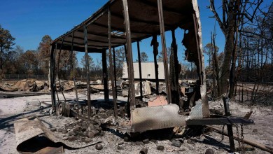 Georgia blaze shows how climate change has led to more wildfires in the East Georgia blaze shows how climate change has led to more wildfires in the East