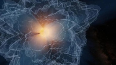 Sun’s shifting, spiky atmospheric boundary mapped in detail for 1st time Sun’s shifting, spiky atmospheric boundary mapped in detail for 1st time