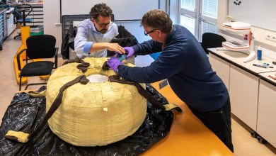 Is it cake? No, it’s a parachute! Is it cake? No, it’s a parachute!