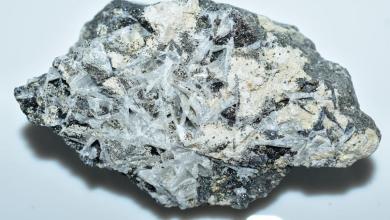 Terramin begins site preparation works at Algerian zinc project Terramin begins site preparation works at Algerian zinc project