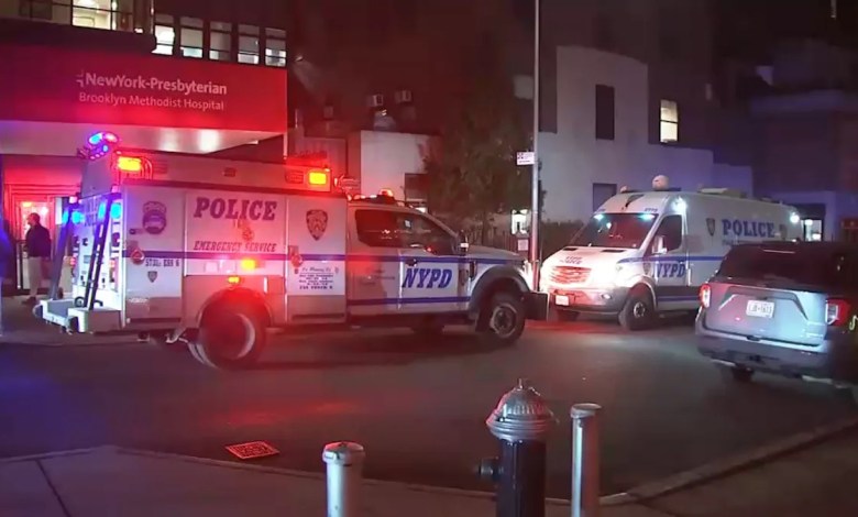 NYPD shoots, kills man armed with knife inside Brooklyn hospital NYPD shoots, kills man armed with knife inside Brooklyn hospital
