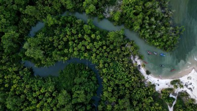 Brazil stumps up billions of dollars for its ambitious rainforest fund at UN climate summit Brazil stumps up billions of dollars for its ambitious rainforest fund at UN climate summit
