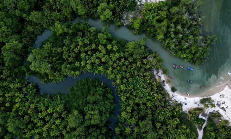 Brazil stumps up billions of dollars for its ambitious rainforest fund at UN climate summit Brazil stumps up billions of dollars for its ambitious rainforest fund at UN climate summit